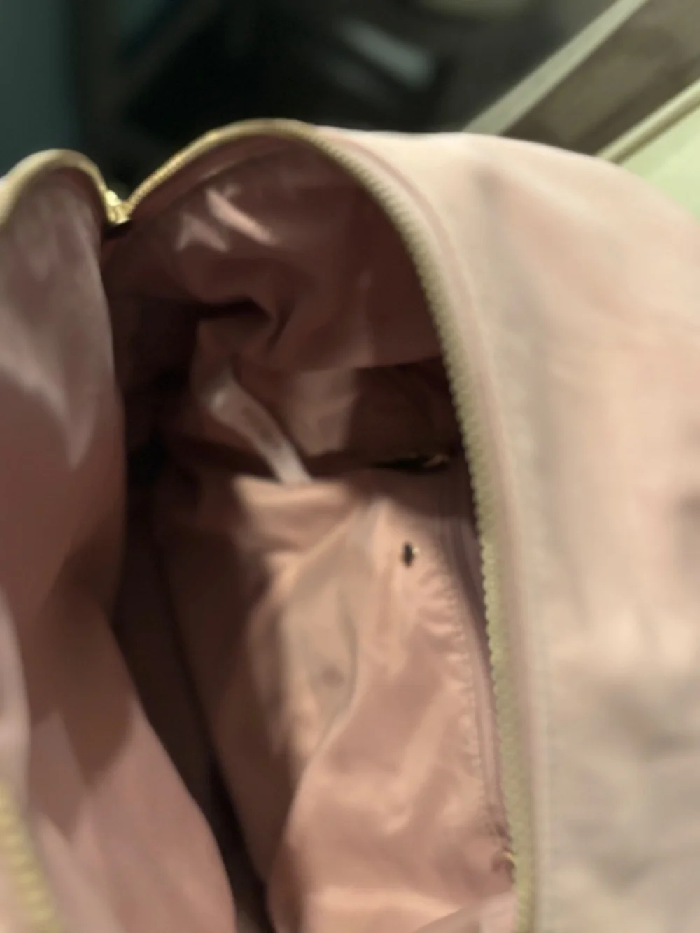 Kate Spade Pink Back Pack